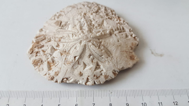 Fotoğraf: Ali Sodra